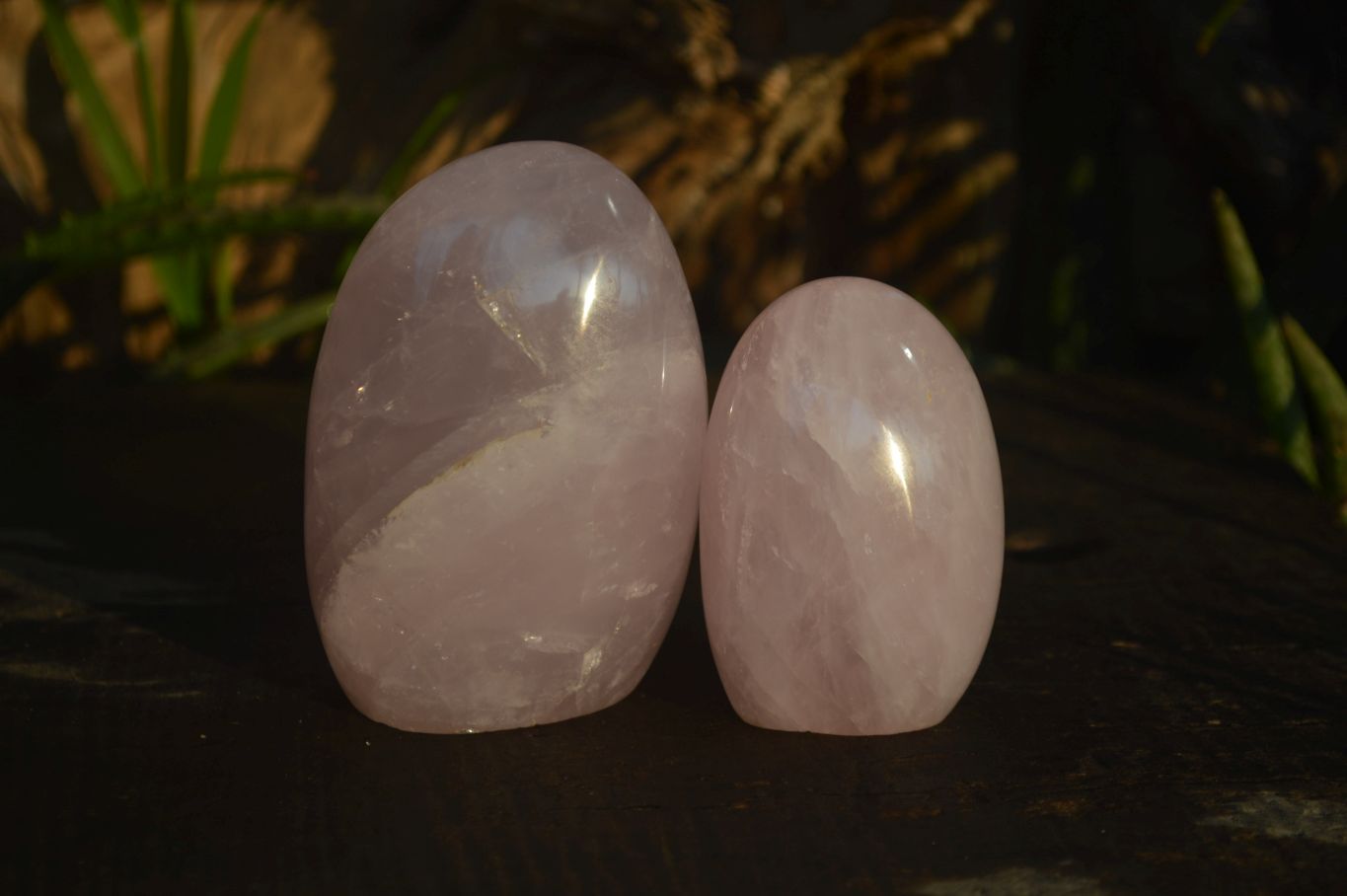 Polished Pink Rose Quartz Standing Free Forms x 6 From Antsirabe, Madagascar - Toprock Gemstones and Minerals 