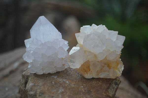 Natural Small Cactus Flower Quartz Specimens  x 24 From Boekenhouthoek, South Africa - Toprock Gemstones and Minerals 