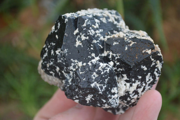Natural Schorl Black Tourmaline Specimens  x 4 From Erongo, Namibia - Toprock Gemstones and Minerals 