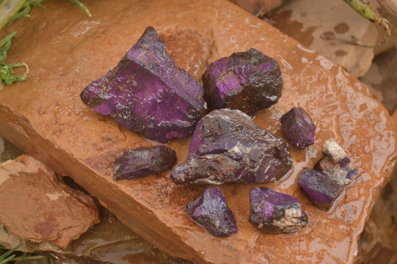 Natural Metallic Purpurite Cobbed Specimens x 18 From Erongo, Namibia - Toprock Gemstones and Minerals 