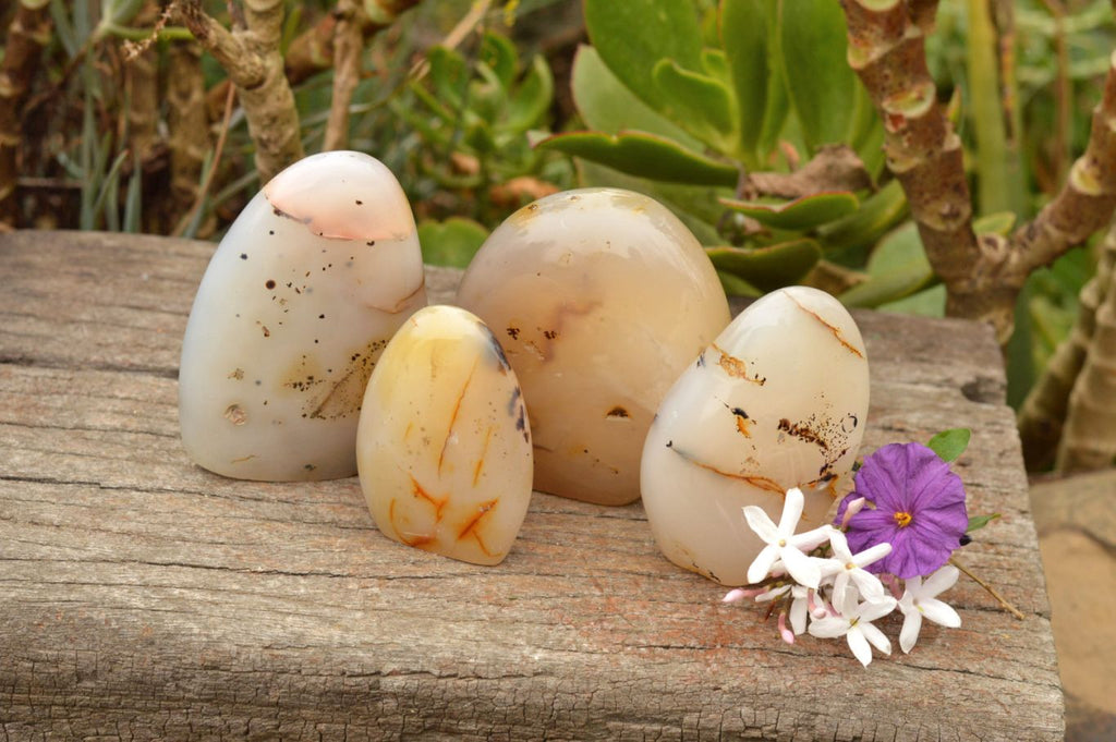 Polished Semi Translucent Dendritic Agate Standing Free Forms  x 4 From Moralambo, Madagascar - TopRock