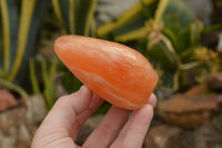 Polished Orange Twist Calcite Standing Free Forms  x 4 From Madagascar - TopRock