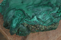 Natural Large Botryoidal Crystalline Malachite Specimen  x 1 From Congo - Toprock Gemstones and Minerals 