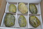 Polished Green Opal Standing Free Forms  x 6 From Madagascar - Toprock Gemstones and Minerals 