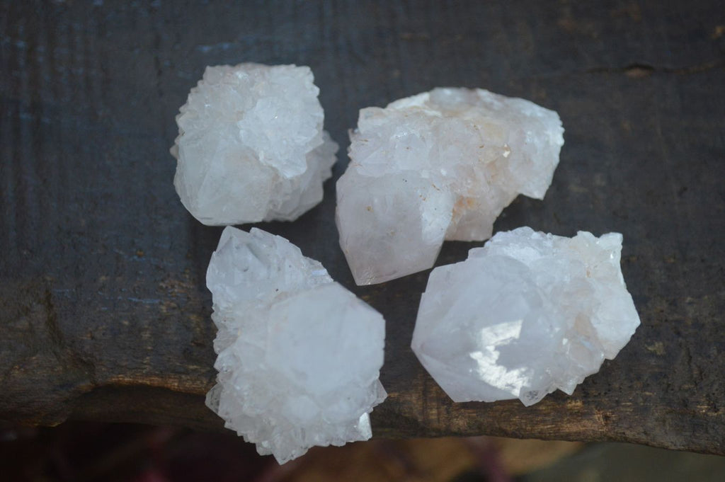 Natural Cactus Flower Spirit Quartz Clusters  x 20 From Boekenhouthoek, South Africa - Toprock Gemstones and Minerals 