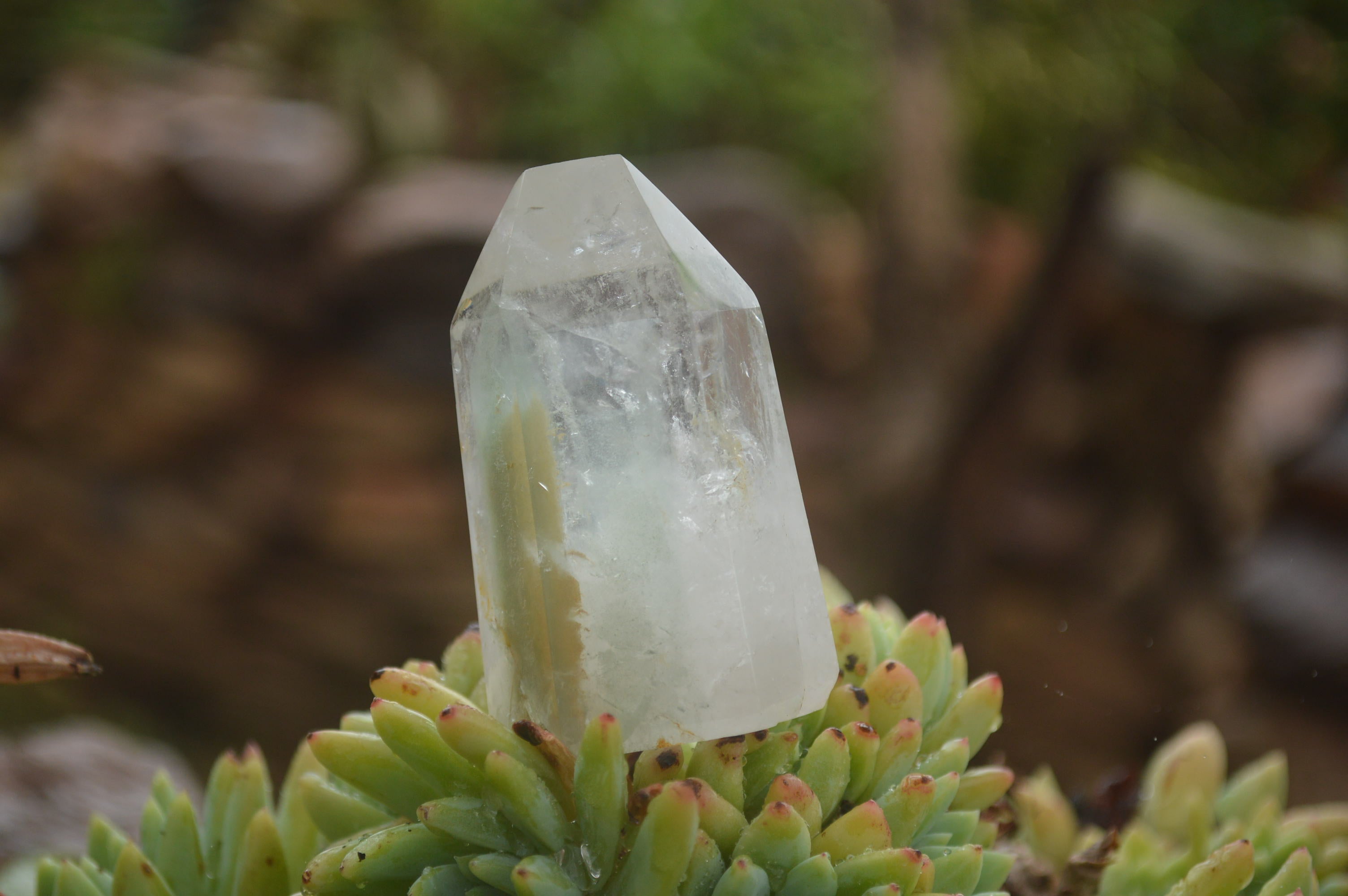Polished Lovely Mixed Selection Of Quartz Points  x 6 From Madagascar - TopRock
