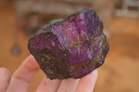 Natural Metallic Purpurite Cobbed Specimens x 18 From Erongo, Namibia - Toprock Gemstones and Minerals 