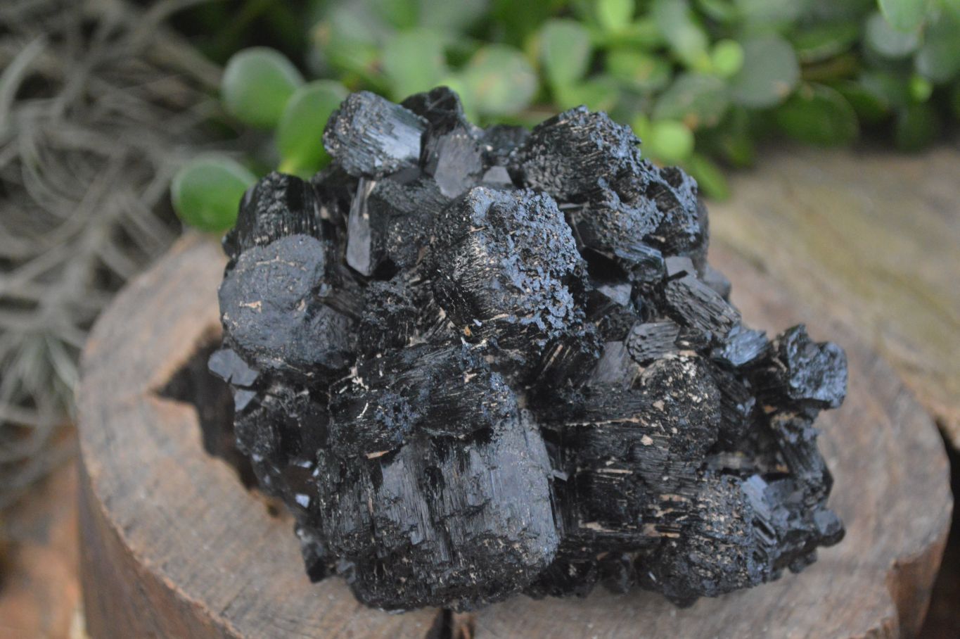 Natural Schorl Black Tourmaline Specimens  x 4 From Erongo, Namibia - Toprock Gemstones and Minerals 