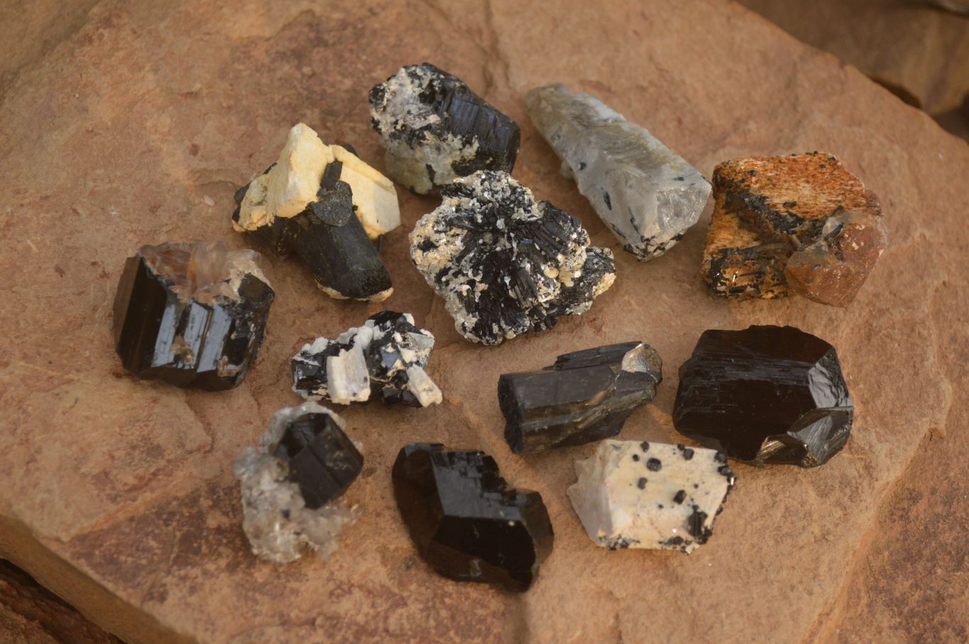 Natural Schorl Black Tourmaline Specimens x 12 From Erongo, Namibia - Toprock Gemstones and Minerals 