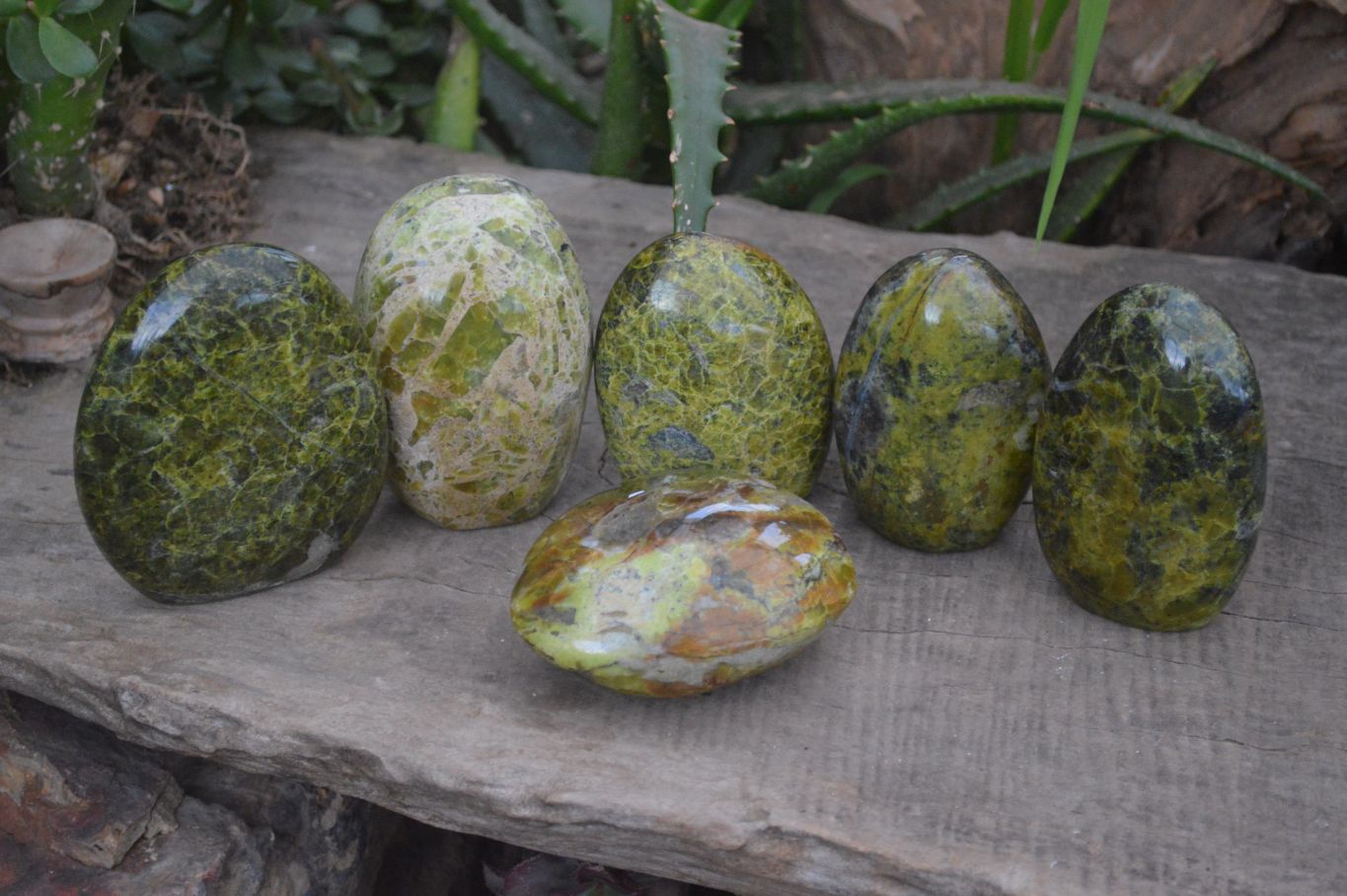 Polished Green Opal Standing Free Forms  x 6 From Madagascar - Toprock Gemstones and Minerals 