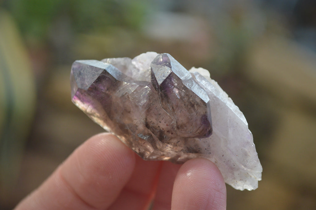Natural Mini Amethyst Crystals  x 12 From Chiredzi, Zimbabwe - Toprock Gemstones and Minerals 