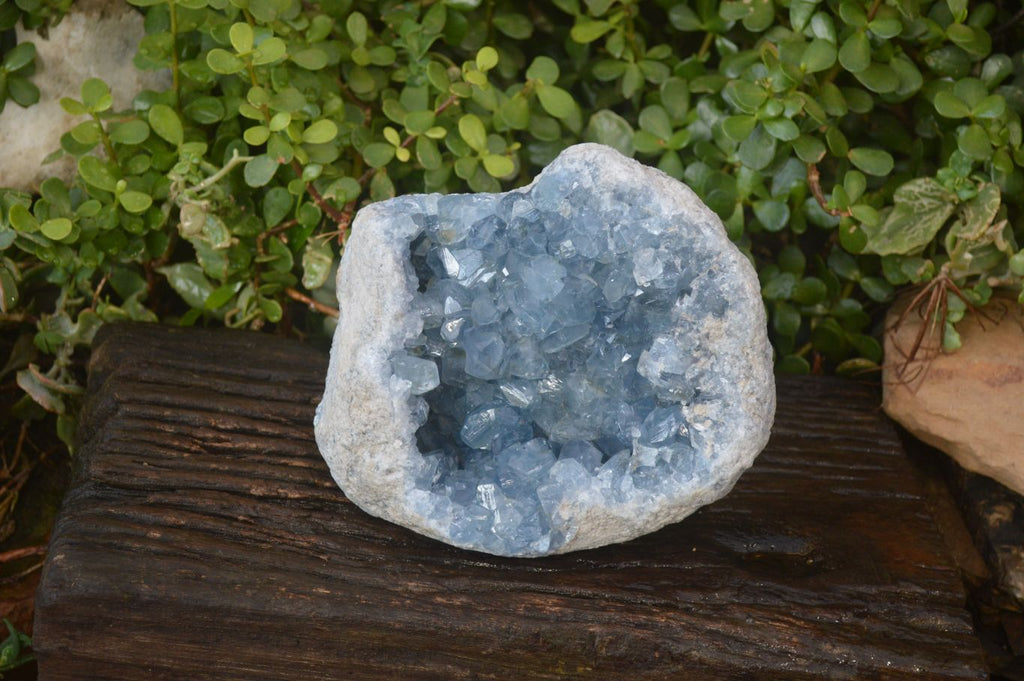 Natural Blue Celestite Geode Specimen  x 1 From Sakoany, Madagascar - Toprock Gemstones and Minerals 