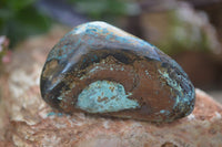 Polished Blue Shattuckite Free Forms  x 6 From Kaokoveld, Namibia - Toprock Gemstones and Minerals 