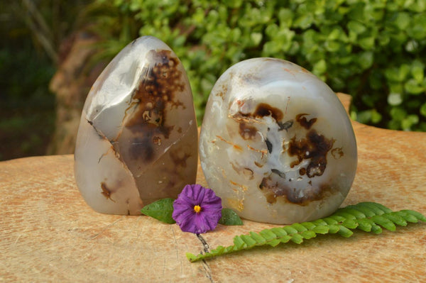 Polished Smokey Cloud (Some what Dendritic) Agate Standing Free Forms x 2 From Madagascar - TopRock