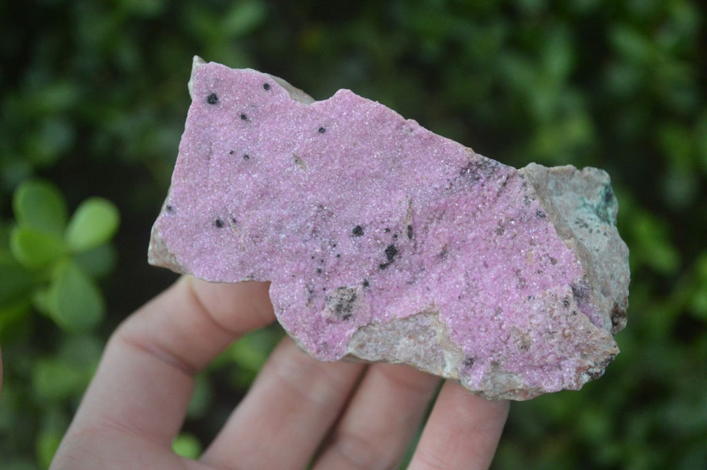 Natural Pink Salrose Cobaltion Dolomite Specimens  x 6 From Kakanda, Congo - Toprock Gemstones and Minerals 