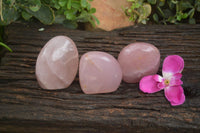 Polished Gemmy Pink Rose Quartz Standing Free Forms  x 3 From Ambatondrazaka, Madagascar - TopRock