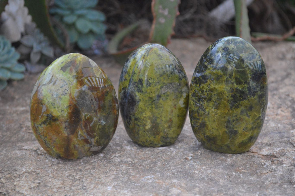Polished Green Opal Standing Free Forms  x 6 From Madagascar - Toprock Gemstones and Minerals 