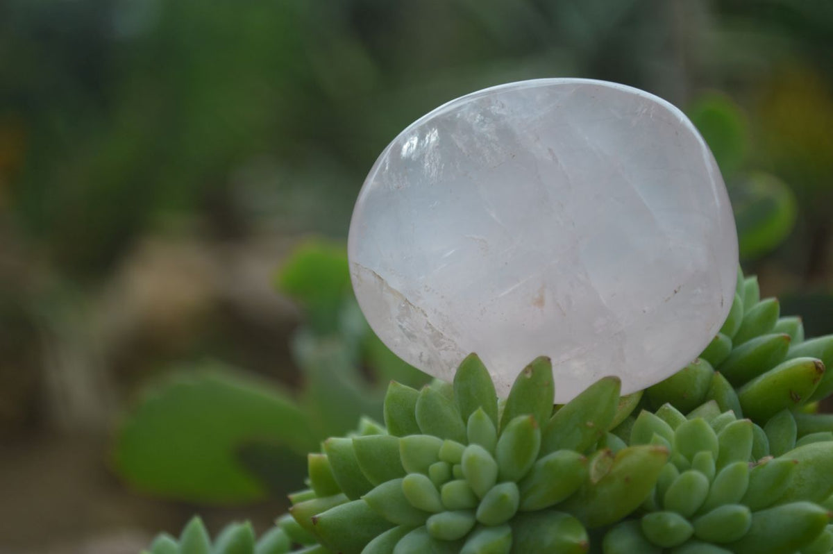 Polished Gemmy Pink Rose Quartz Palm Stones  x 20 From Madagascar - Toprock Gemstones and Minerals 