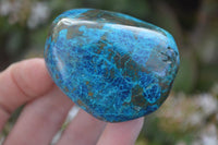Polished Blue Shattuckite Free Forms  x 6 From Kaokoveld, Namibia - Toprock Gemstones and Minerals 