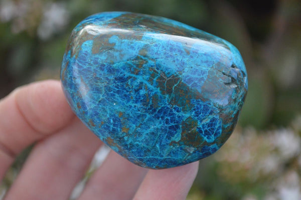 Polished Blue Shattuckite Free Forms  x 6 From Kaokoveld, Namibia - Toprock Gemstones and Minerals 