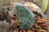 Polished Emerald In Matrix Standing Free Forms x 4 From Sandawana, Zimbabwe - TopRock