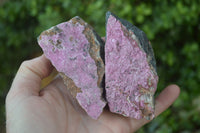 Natural Pink Salrose Cobaltion Dolomite Specimens  x 6 From Kakanda, Congo - Toprock Gemstones and Minerals 