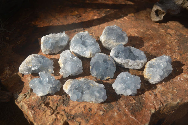 Natural Small Blue Celestite Specimens - Sold per 1.6 kg (12 pieces) - From Sakoany, Madagascar - Toprock Gemstones and Minerals 