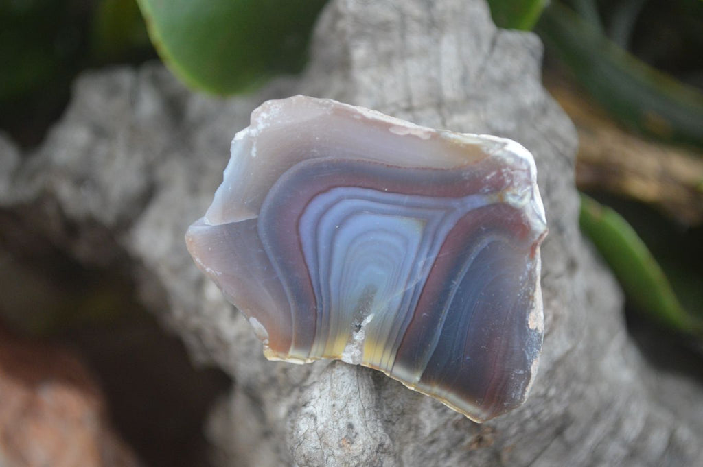 Polished Red River Agate Nodules  x 13 From Sashe River, Zimbabwe - Toprock Gemstones and Minerals 