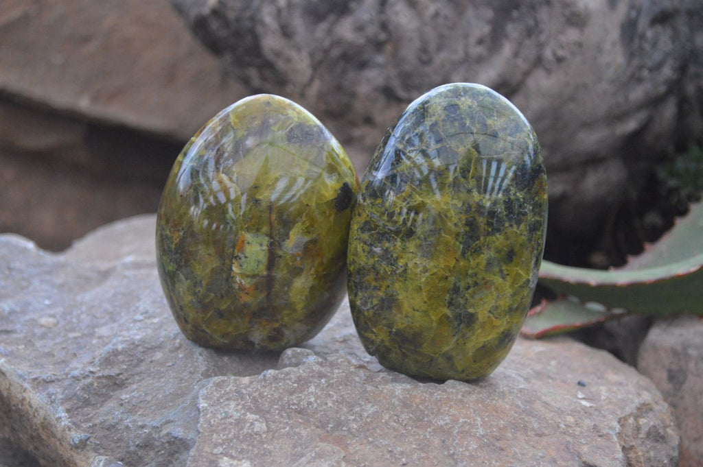 Polished Green Opal Standing Free Forms  x 6 From Madagascar - Toprock Gemstones and Minerals 