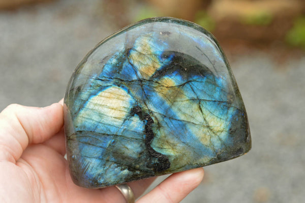 Polished Labradorite Standing Free Forms With Intense Blue & Gold Flash x 3 From Tulear, Madagascar - TopRock