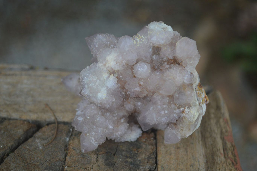 Natural Mixed Spirit Quartz Clusters  x 12 From Boekenhouthoek, South Africa - Toprock Gemstones and Minerals 