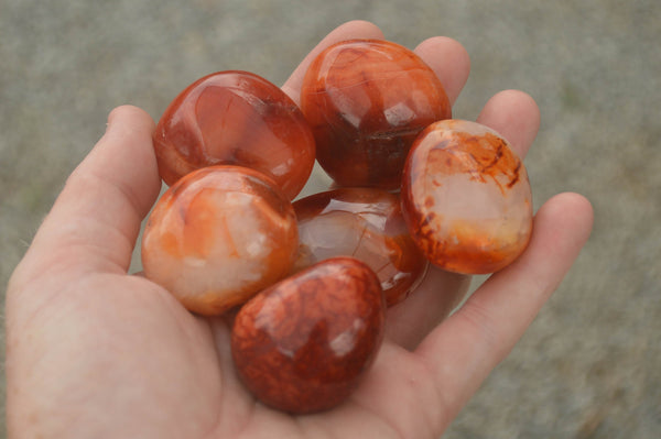 Polished Vibrant Carnelian Agate Palm Stones  x 35 From Madagascar - TopRock