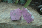 Natural Pink Salrose Cobaltion Dolomite Specimens  x 6 From Kakanda, Congo - Toprock Gemstones and Minerals 