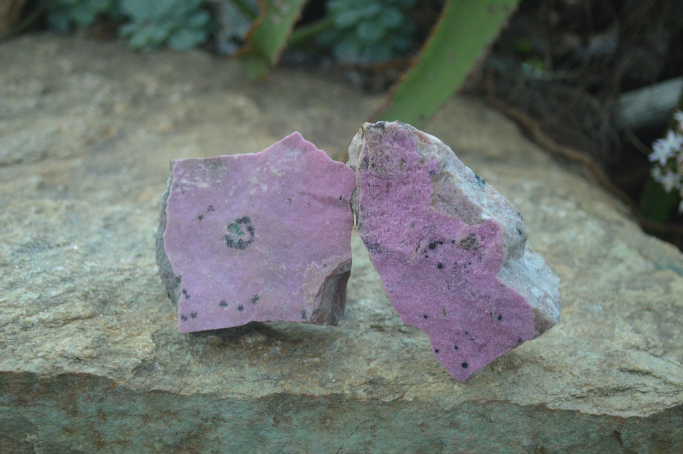 Natural Pink Salrose Cobaltion Dolomite Specimens  x 6 From Kakanda, Congo - Toprock Gemstones and Minerals 