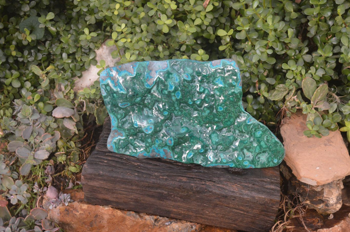 Polished Extra Large Malacholla Plate Specimen x 1 From Kulukuluku, Congo - Toprock Gemstones and Minerals 