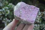 Natural Pink Salrose Cobaltion Dolomite Specimens  x 6 From Kakanda, Congo - Toprock Gemstones and Minerals 