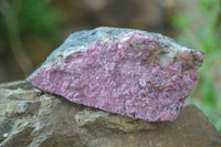 Natural Pink Salrose Cobaltion Dolomite Specimens  x 6 From Kakanda, Congo - Toprock Gemstones and Minerals 