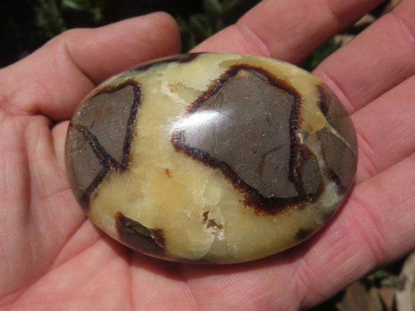 Polished Septerye (Calcite, Aragonite) Medium to Large Sized Palm Stones / Gallets - sold per kg - From Mahajanga, Madagascar - TopRock