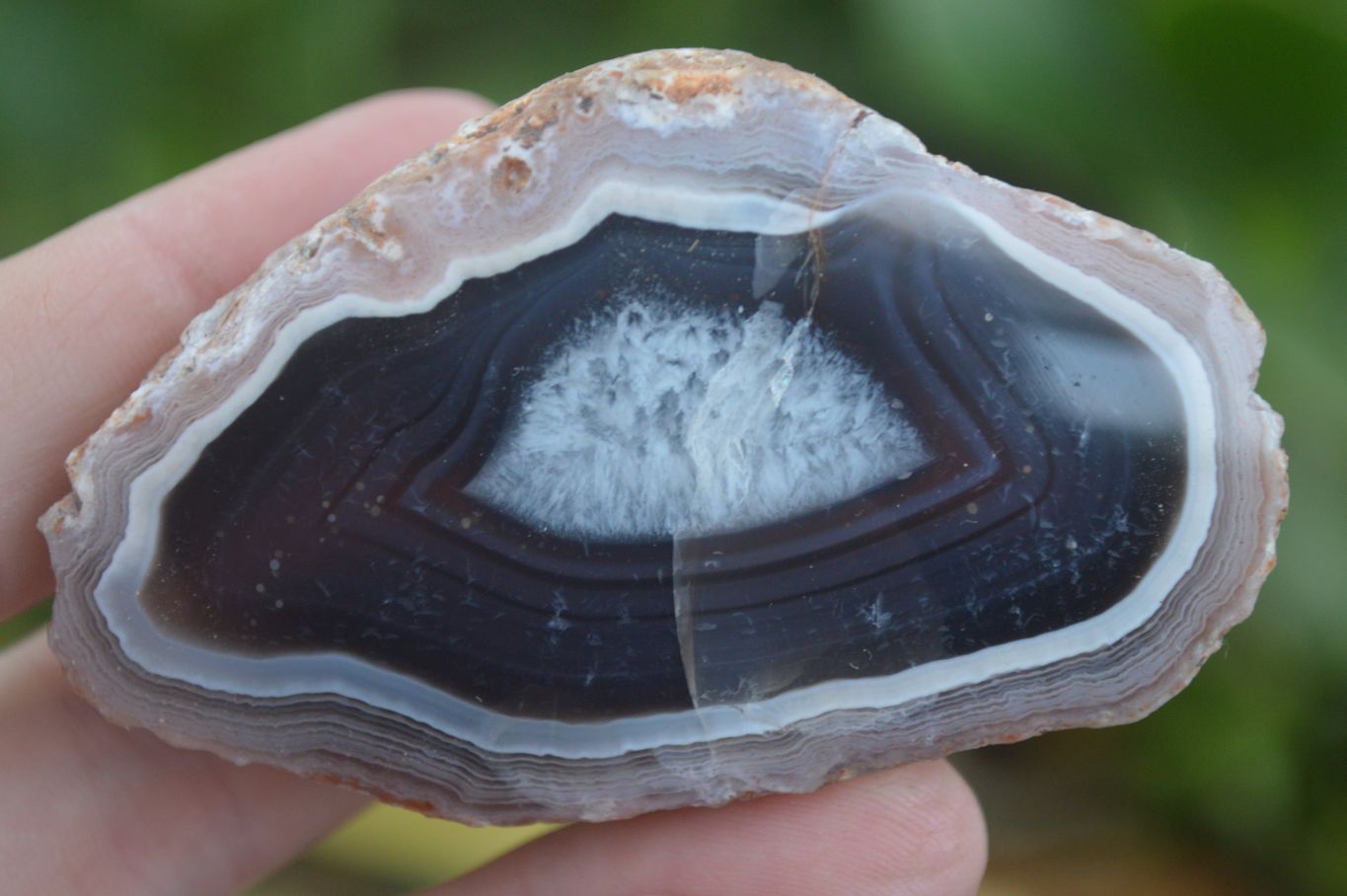 Polished Red River Agate Nodules  x 13 From Sashe River, Zimbabwe - Toprock Gemstones and Minerals 