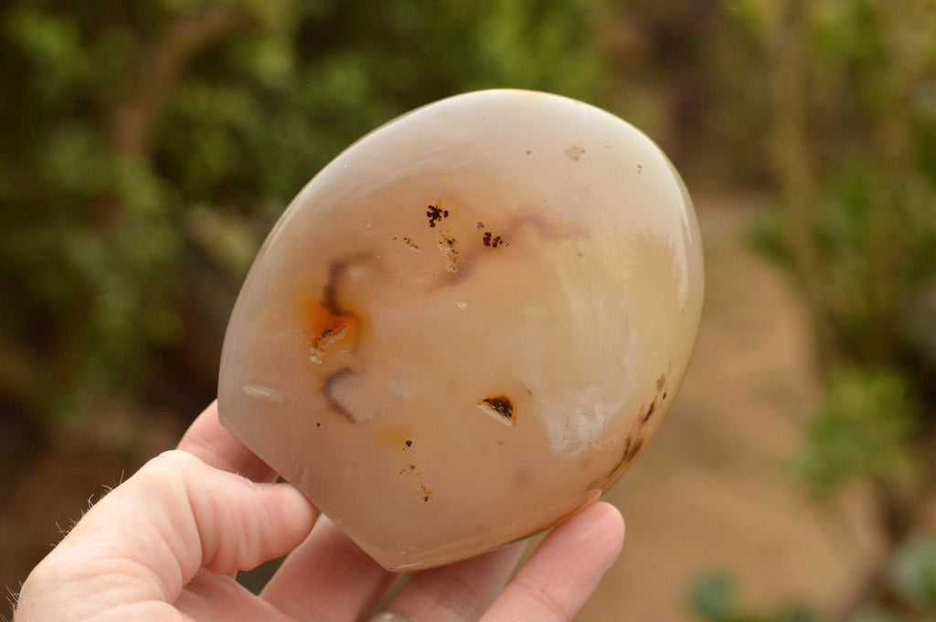 Polished Semi Translucent Dendritic Agate Standing Free Forms  x 4 From Moralambo, Madagascar - TopRock