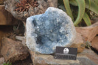 Natural Blue Celestite Geode Specimen  x 1 From Sakoany, Madagascar - Toprock Gemstones and Minerals 