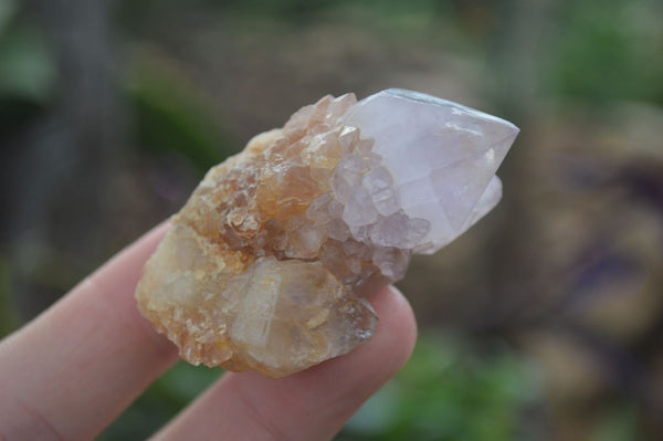 Natural Rare Spirit Ametrine Quartz Crystals  x 35 From Boekenhouthoek, South Africa