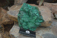Natural Large Botryoidal Crystalline Malachite Specimen  x 1 From Congo - Toprock Gemstones and Minerals 