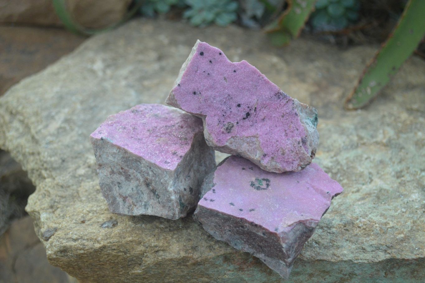 Natural Pink Salrose Cobaltion Dolomite Specimens  x 6 From Kakanda, Congo - Toprock Gemstones and Minerals 