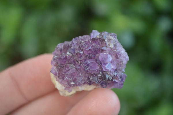 Natural Small Mixed Spirit Quartz Specimens  x 35 From Boekenhouthoek, South Africa - Toprock Gemstones and Minerals 