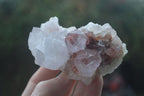 Natural Mixed Spirit Quartz Clusters  x 12 From Boekenhouthoek, South Africa - Toprock Gemstones and Minerals 