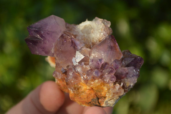 Natural Rare Deep Purple Spirit Amethyst Clusters  x 12 From Boekenhouthoek, South Africa - Toprock Gemstones and Minerals 