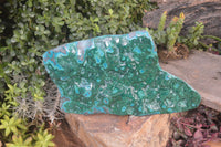 Polished Extra Large Malacholla Plate Specimen x 1 From Kulukuluku, Congo - Toprock Gemstones and Minerals 