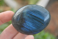 Polished Mixed Selection Of Retail Items  x 4 From Southern Africa - Toprock Gemstones and Minerals 