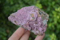 Natural Pink Salrose Cobaltion Dolomite Specimens  x 6 From Kakanda, Congo - Toprock Gemstones and Minerals 
